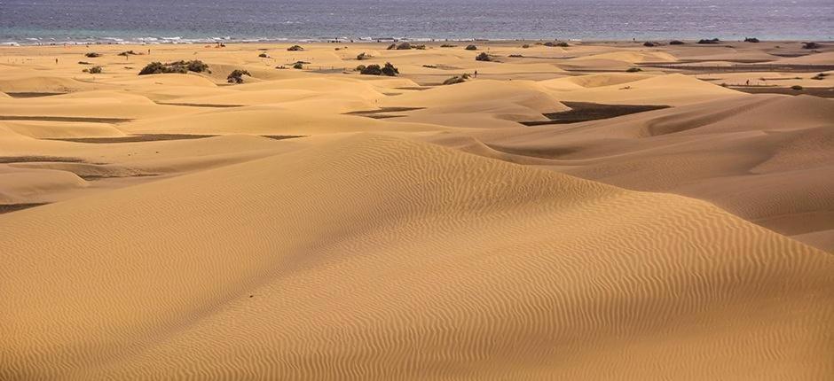 Relax Bungalow With Parking Vila Maspalomas  Exterior foto